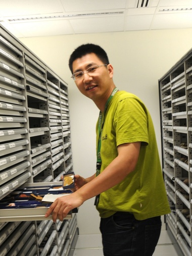 MK在线创新论坛第一千八百零一讲：虫鸣凤舞伴花香：现代陆地生态系统的起源