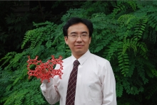MK在线创新论坛第一千二百七十三讲暨120周年校庆年系列活动： Unexpected slow diffusion in hierarchical porous materials with combined surface and configurational diffusion   