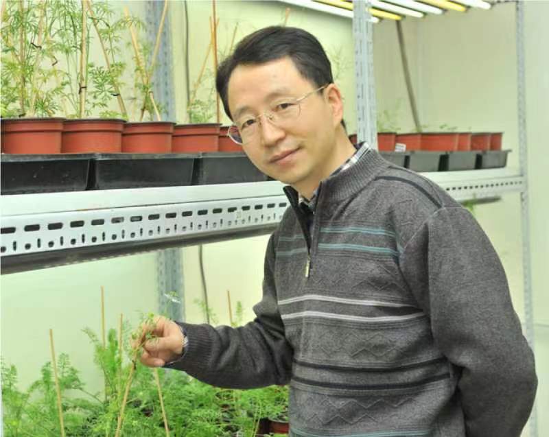 MK在线创新论坛第一千二百六十八讲暨120周年校庆年系列活动：复杂花瓣的发育与进化